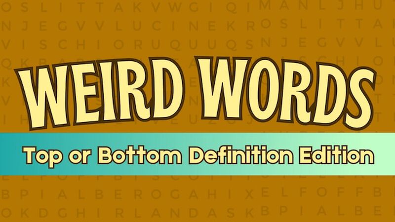 Weird Words Top or Bottom Definition Edition